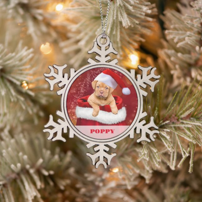Personalized Pet Photo Snowflake Framed Ornament (Tree)