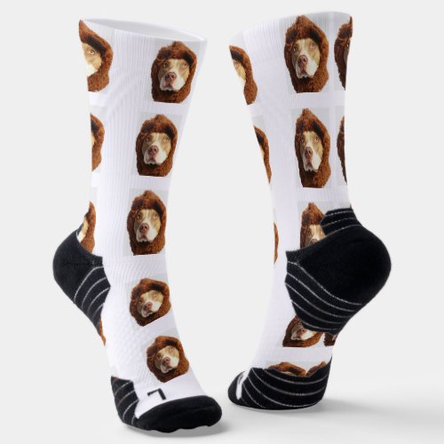 Personalized Pet Photo Socks