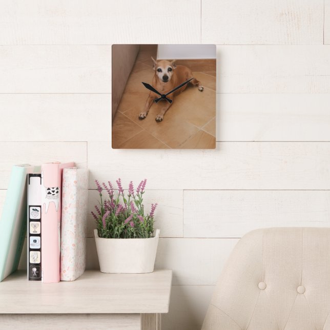 Personalized Pet Photo  Square Wall Clock (Reading Room)