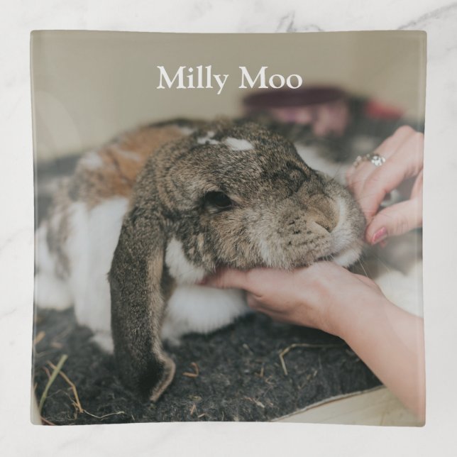  Personalized Pet Photo  Trinket Tray (Front)