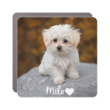 Personalized Pet Picture Car Magnet with Name