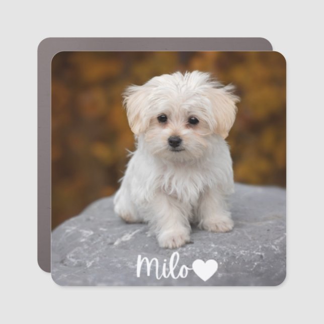 Personalized Pet Picture Car Magnet with Name (Front)