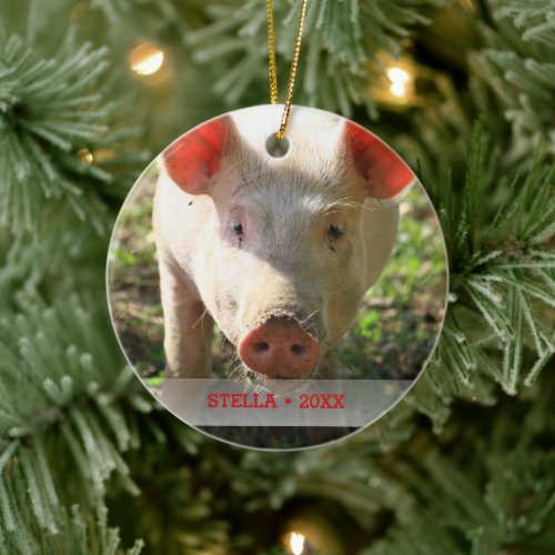 Personalized Pet Pig Photo  Name Christmas Tree Ceramic Ornament