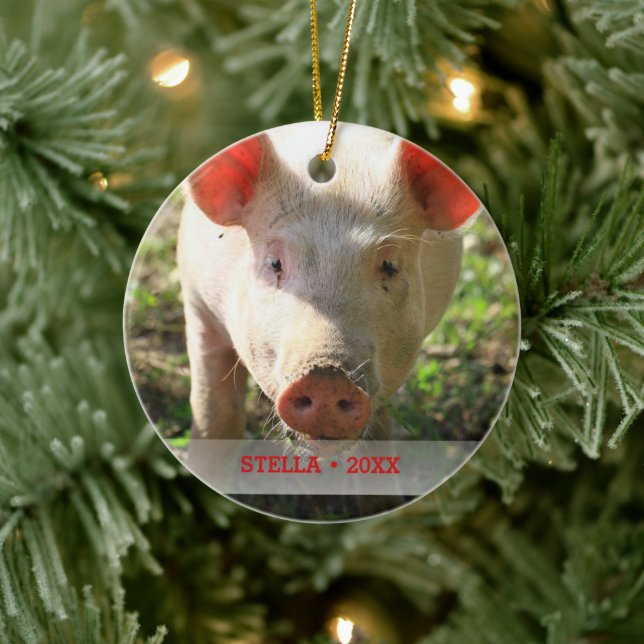 Personalized Pet Pig Photo & Name Christmas Tree Ceramic Ornament (Tree)