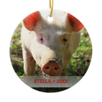 Personalized Pet Pig Photo & Name Christmas Tree Ceramic Ornament