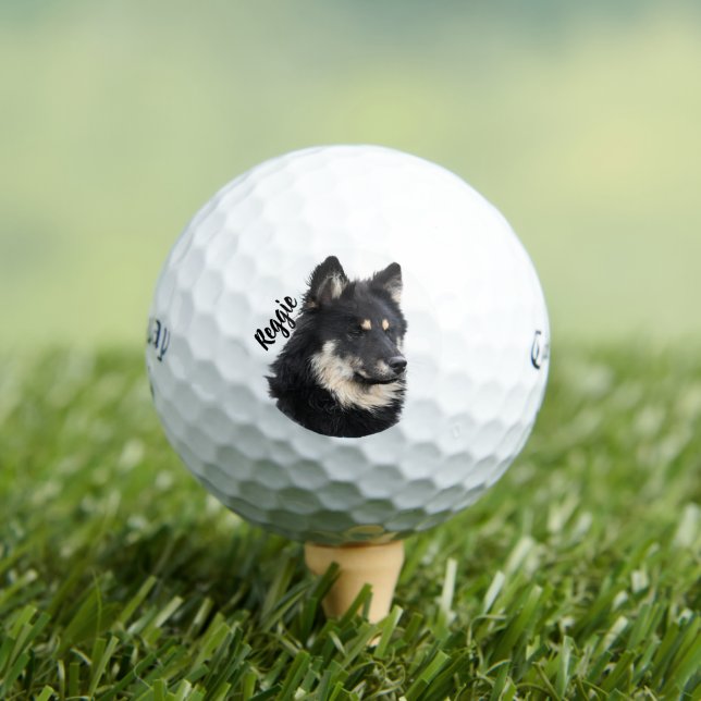 Personalized Pet Portrait Golf Ball | Custom Photo (Insitu Tee)