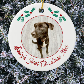 Personalized Pet Puppy Dog First Christmas Photo Ceramic Ornament