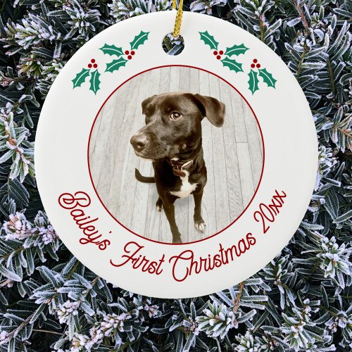 Personalized Pet Puppy Dog First Christmas Photo Ceramic Ornament