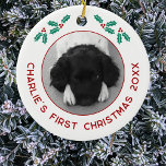 Personalized Pet Puppy Dog First Christmas Photo Ceramic Ornament<br><div class="desc">Celebrate your puppy's first Christmas with this charming personalized photo ornament. Add your own photo and change any of the text to customize. With pretty holly sprigs and modern text in festive red, it beautifully showcases your favorite photograph of your puppy or dog, making it a perfect keepsake for pet...</div>