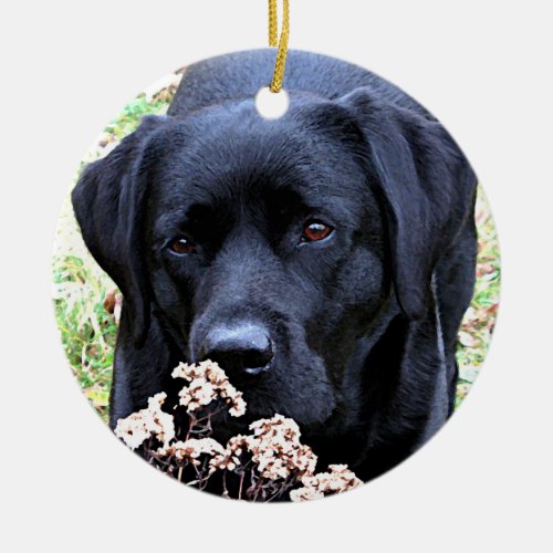 Personalized Pet Puppy Photo Dog First Christmas Ceramic Ornament