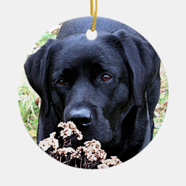 Personalized Pet Puppy Photo Dog First Christmas Ceramic Ornament (Front)
