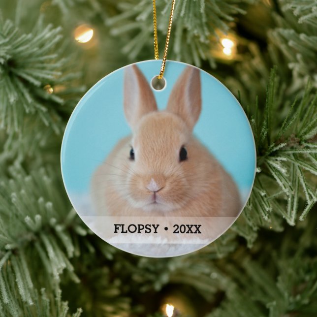 Personalized Pet Rabbit Photo Name Christmas Tree Ceramic Ornament (Tree)