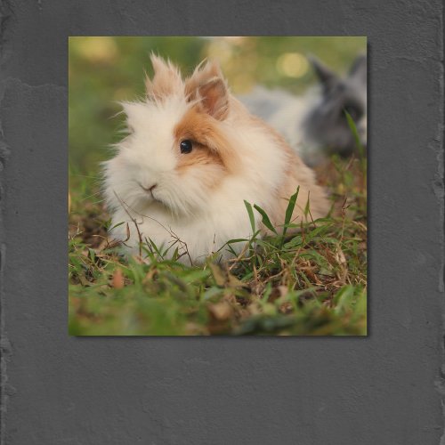Personalized Pet Rabbit Photo  Wood Wall Art