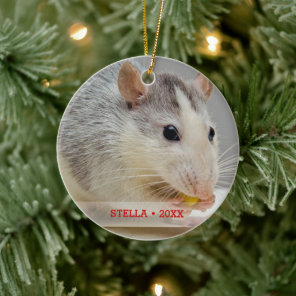 Personalized Pet Rat Photo & Name Christmas Tree Ceramic Ornament