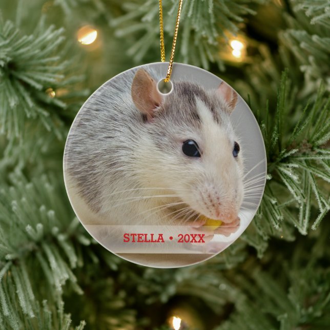 Personalized Pet Rat Photo & Name Christmas Tree Ceramic Ornament (Tree)