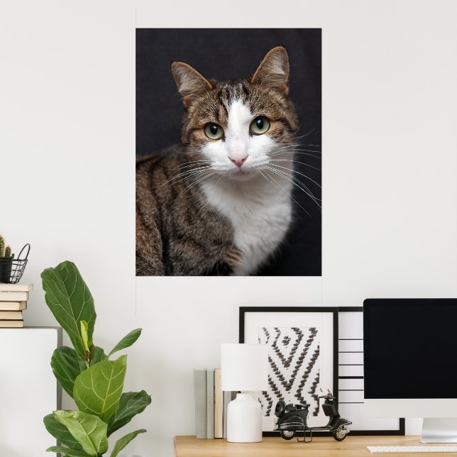 Personalized Pet Tabby Cat Single Photo Custom Poster (Home Office)