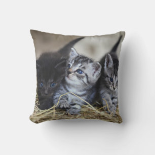 Personalized Pet Throw Pillow