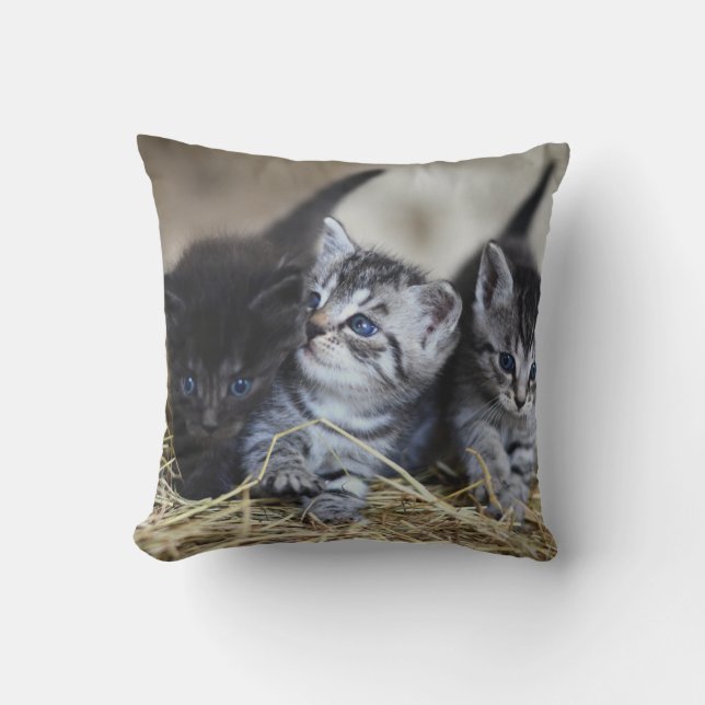 Personalized Pet Throw Pillow (Front)