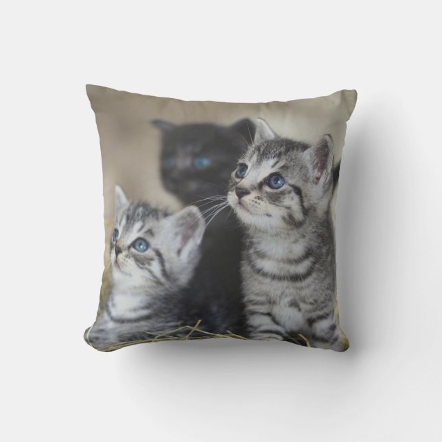 Personalized Pet Throw Pillow (Front)