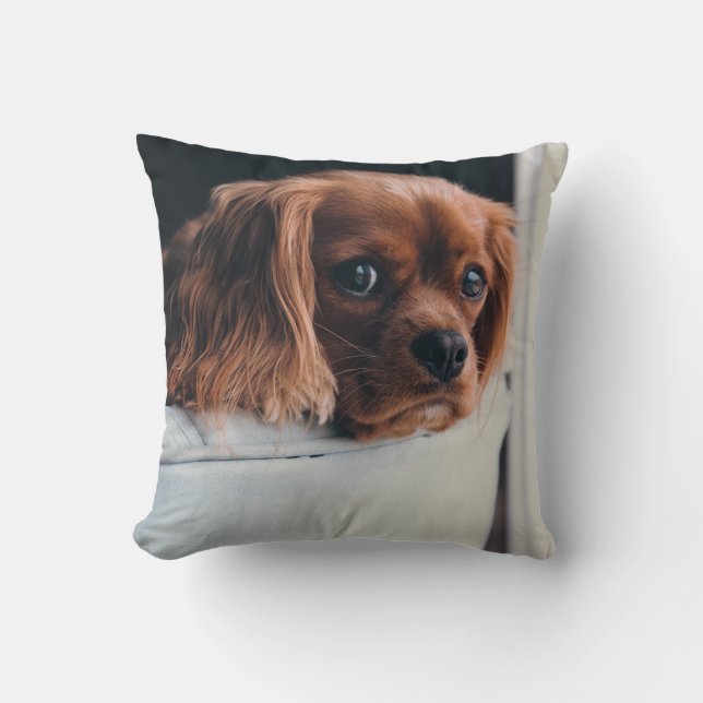 Personalized Pet Throw Pillow (Front)