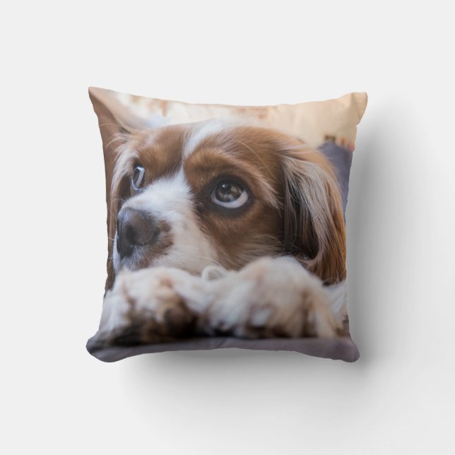 Personalized Pet Throw Pillow (Front)