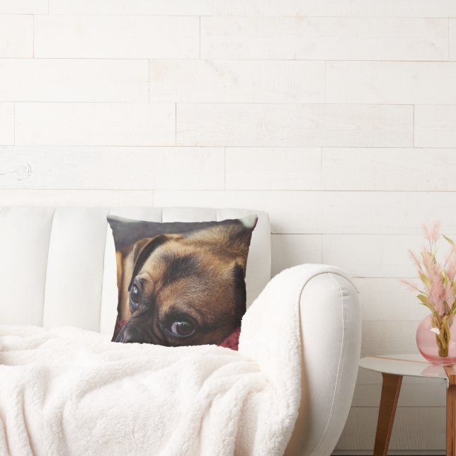 Personalized Pet Throw Pillow (Couch)