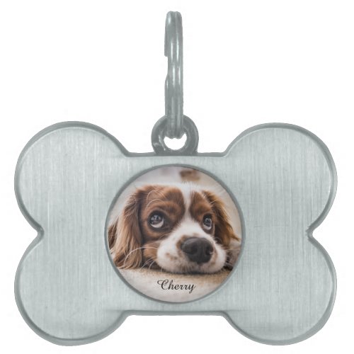 Personalized Pets gift Collars and harnesses Pet ID Tag