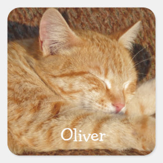 Personalized pet's photo square sticker