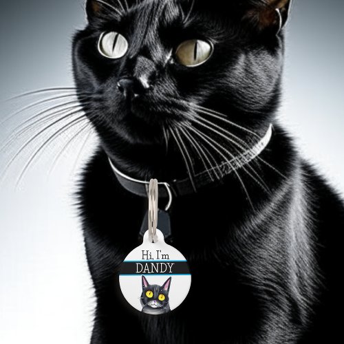 Personalized Phone Number and Address Cat Pet ID Tag