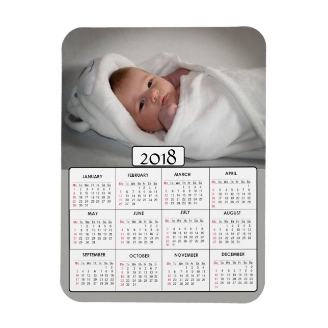 Personalized Photo 2018 Calendar Magnet (Vertical)