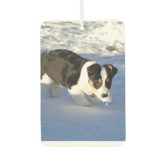 Personalized Photo Air Freshener (Front)