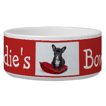 Personalized Photo And Name Dog Bowl by Everything_Grandma at Zazzle