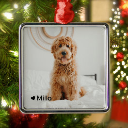Personalized Photo and Name Pet Metal Ornament