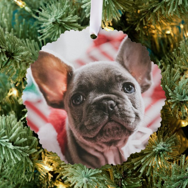 Personalized Photo and Text Christmas Tree Ornament Card (Insitu (Tree))