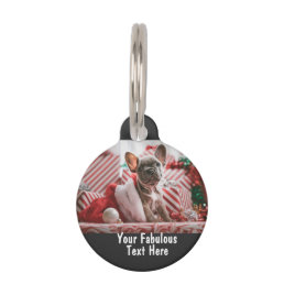 Personalized photo and text pet ID tag