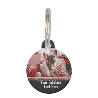 Personalized photo and text pet ID tag