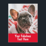 Personalized Photo and Text Postcard<br><div class="desc">Personalized Photo and Text Postcard</div>