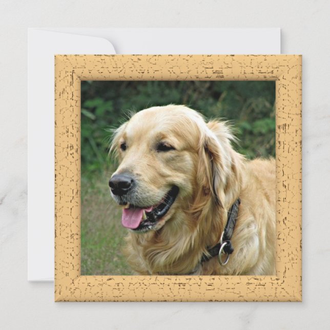 Personalized Photo Card From Your Dog (Front)