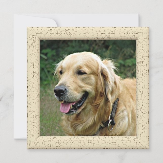 Personalized Photo Card From Your Dog (Front)
