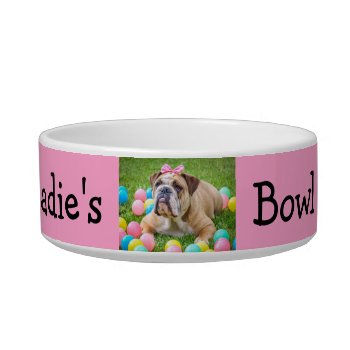 Personalized Photo Custom Color Dog Bowl by Everything_Grandma at Zazzle