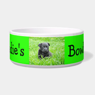 Personalized Photo Custom Color Dog Bowl