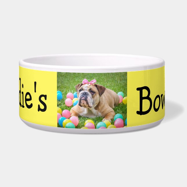 Personalized Photo Custom Color Dog Bowl (Front)