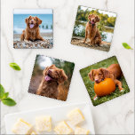 Personalized Photo Custom Create Your Own Coaster Set<br><div class="desc">Custom photo coaster set of your best friend. Create a fun gift to your favorite dog lover, dog mom or dog dad. Whether its Mothers day, Fathers day, a birthday or Christmas, these photo coasters make a perfect gift, and fun stocking stuffers! COPYRIGHT © 2020 Judy Burrows, Black Dog Art...</div>