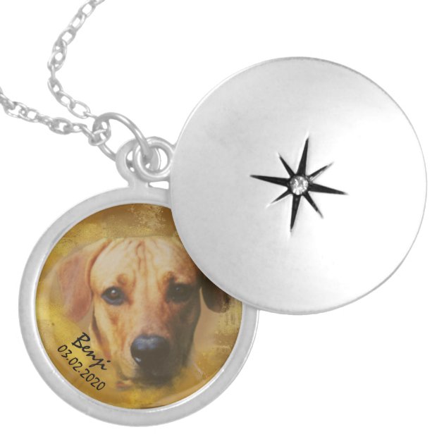 Personalized Pet Name Necklace, Custom Pet, Dog Lover Gift – Namecoins