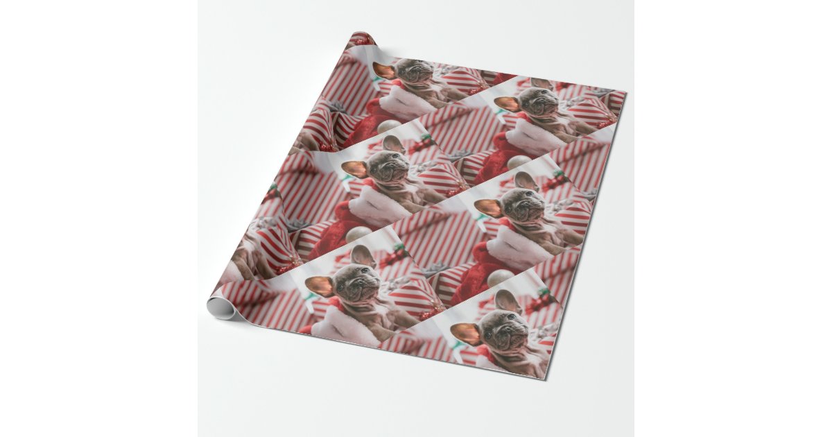 Download Personalized Photo Custom Wrapping Paper | Zazzle.com