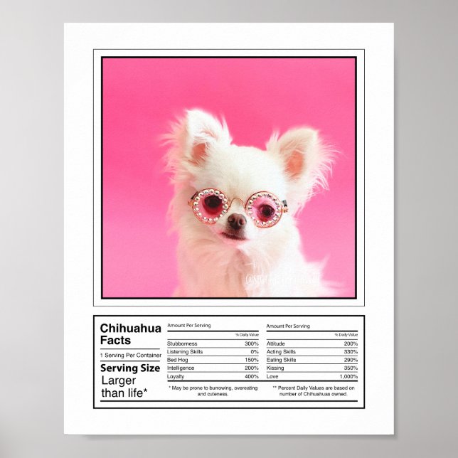 Personalized Photo Dog Breed Facts Chihuahua Poster (Front)