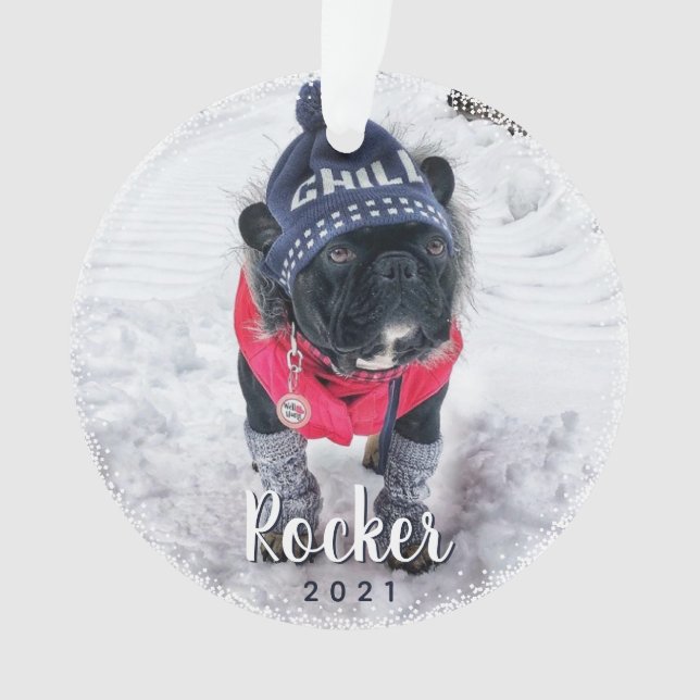 Personalized Photo Dog Puppy Holiday Ornament (Front)