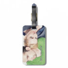 Personalized Photo Feather Pattern Luggage Tag