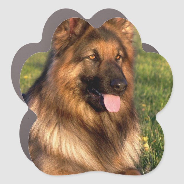 Personalized Photo German Shephred Dog Car Magnet (Front)
