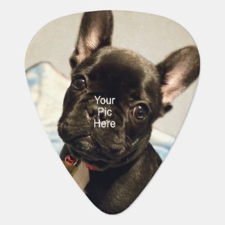 Personalized Photo Guitar Pick Cusotm Guitar Pick